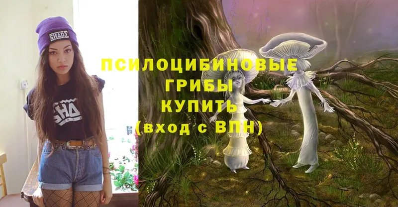 Псилоцибиновые грибы MAGIC MUSHROOMS  Гаврилов Посад 